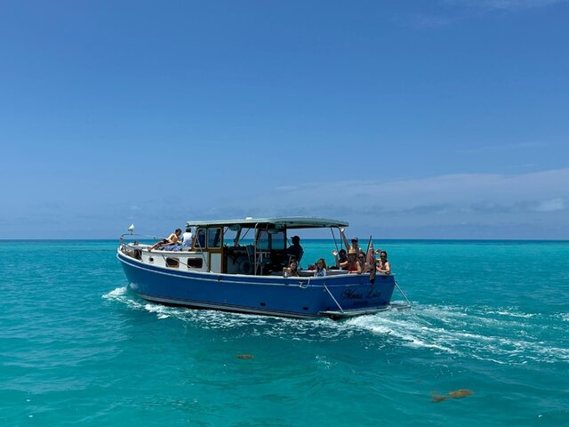 Listing image 1125953