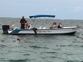 Guests enjoy snorkeling in the Caribbean waters while aboard a tour boat, creating unforgettable memories in a vibrant aquatic environment.