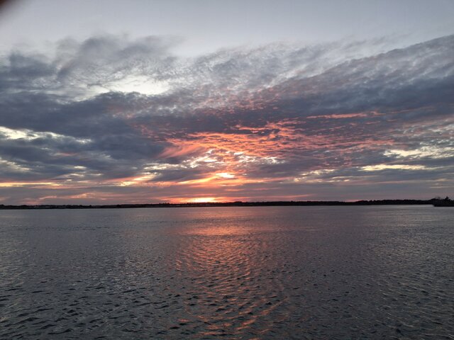 Listing image 1122487