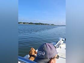 A person enjoys a peaceful day on the water with their dog, capturing the essence of relaxation and companionship while boating.