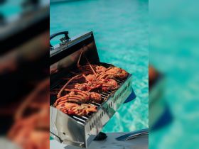 A close-up of a grill loaded with fresh lobster, ready for a delicious barbecue on the water — perfect for a memorable boating experience.