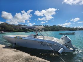A sleek speedboat docked in tranquil waters, surrounded by lush greenery and a clear blue sky — perfect for a day of adventure on the water.