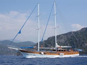 Charter Image