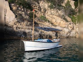 A charming boat anchored near a rocky coastline, showcasing its elegant design against the serene waters — perfect for coastal explorations.