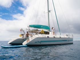 A couple enjoys a day sailing on a catamaran, showcasing the perfect blend of adventure and relaxation on the water.