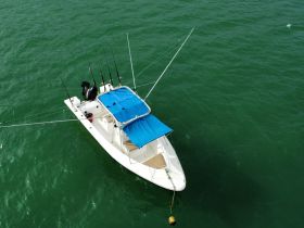 Aerial view of a sleek speedboat equipped for fishing, showcasing its vibrant blue canopy and fishing rods against the backdrop of clear green waters.