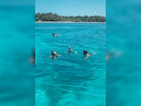 A group enjoys snorkeling in crystal-clear turquoise waters, showcasing the vibrant marine life and perfect conditions for underwater exploration.