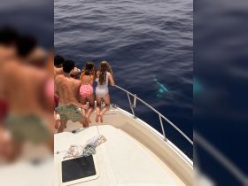 A group of friends leans over the side of a boat, excitedly watching something in the ocean — a perfect moment of adventure and fun on the water.