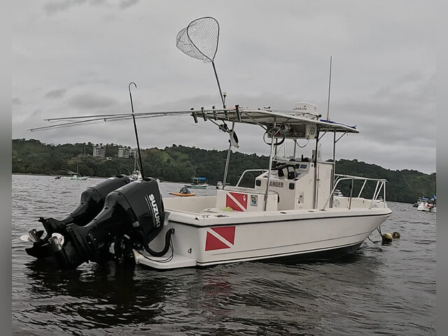 Listing image 1114429