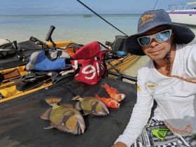 A fisherman proudly displays his catch of colorful fish while sitting on a kayak by the shore, showcasing a successful day of fishing in the ocean.