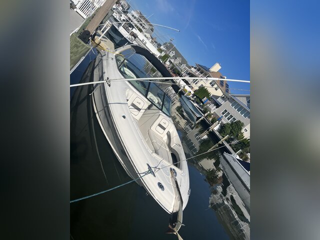 Listing image 1113496