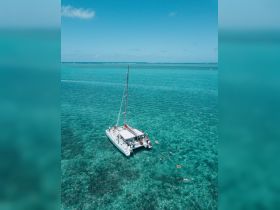 A lively scene featuring a catamaran surrounded by swimmers enjoying the clear turquoise waters, perfect for snorkeling adventures and group outings.