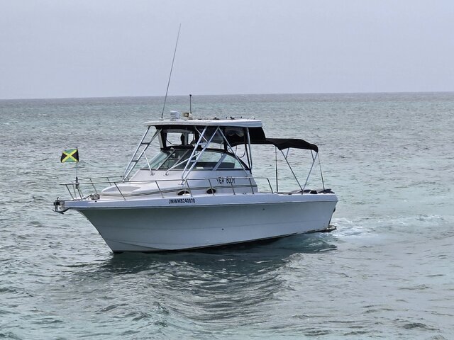 Listing image 1113905