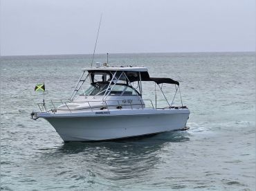 Yard Shores JA. – Private Boat/Yacht Charter