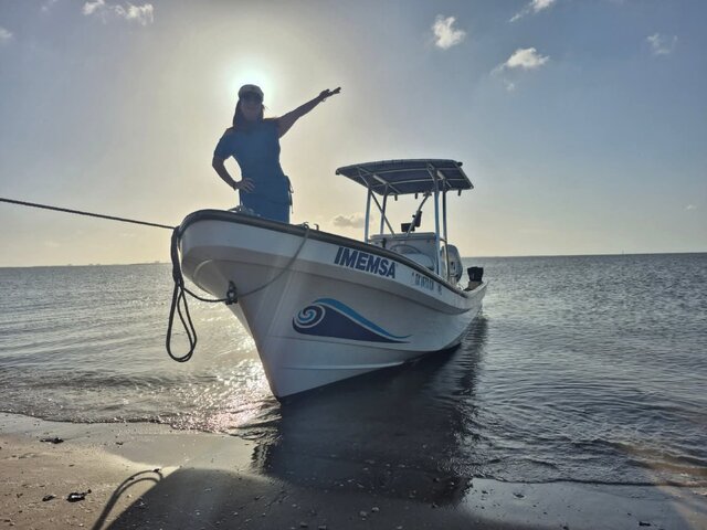 Listing image 1113907