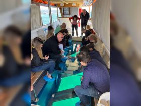A group of guests enjoys a unique experience aboard a boat with a glass bottom, observing the vibrant underwater world below — perfect for marine exploration and adventure.