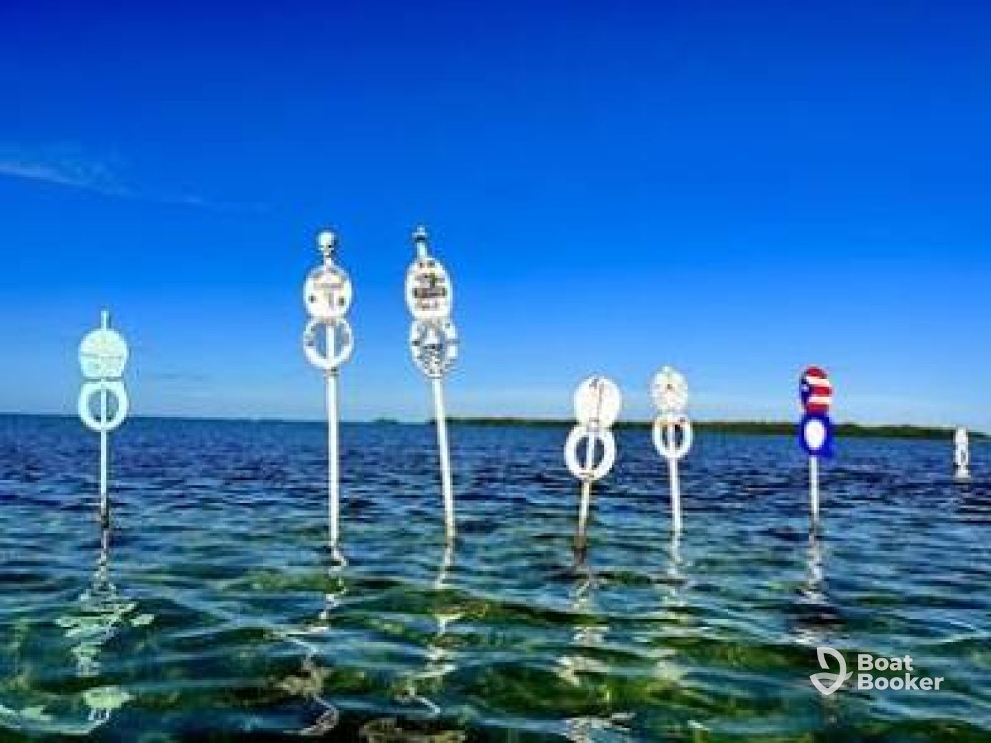 Sun King Charters