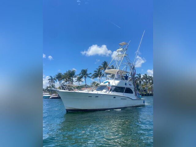 Listing image 1114365