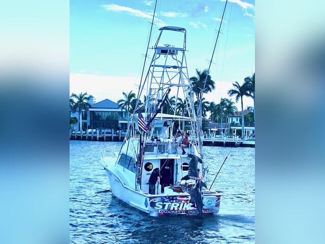 Listing image 1114361