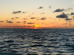 A stunning sunset over the ocean, capturing the serene beauty of the water as day transitions to night — perfect for romantic evening cruises.