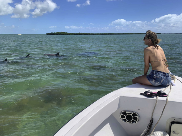 Listing image 1143228