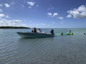 A lively scene with a group enjoying the water near a boat, featuring floating mats and swimming — perfect for summer fun and family outings.