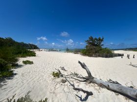 A picturesque beach scene featuring boats anchored nearby, perfect for island hopping adventures and enjoying the sun.