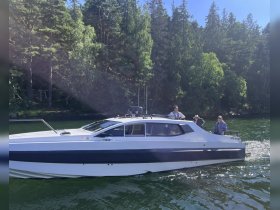 A group of friends enjoys a sunny day cruising on a sleek boat, surrounded by lush greenery — perfect for summer adventures on the water.