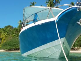A striking view of a boat's bow against a backdrop of lush palm trees and clear blue skies, perfect for showcasing the vessel's design and tranquil surroundings.