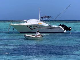 Charter Image