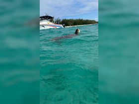 A serene moment capturing a turtle swimming in clear turquoise waters, with a boat in the background — a beautiful wildlife encounter in a tropical setting.