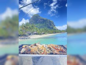 A delicious spread of grilled lobster awaits on the deck, with a stunning beach and mountain backdrop — perfect for a tropical dining experience.