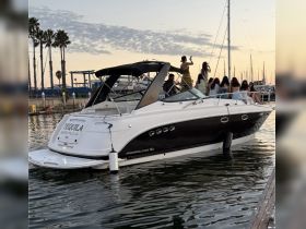 A lively group enjoys a celebration aboard a stylish boat named 'Tequila' — perfect for sunset cruises and memorable gatherings on the water.