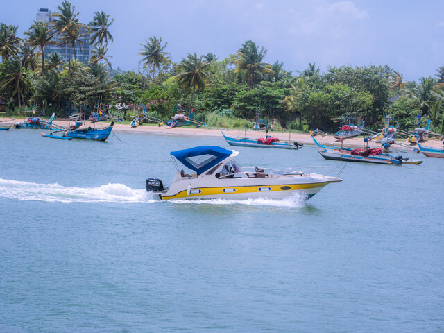 Listing image 1114814