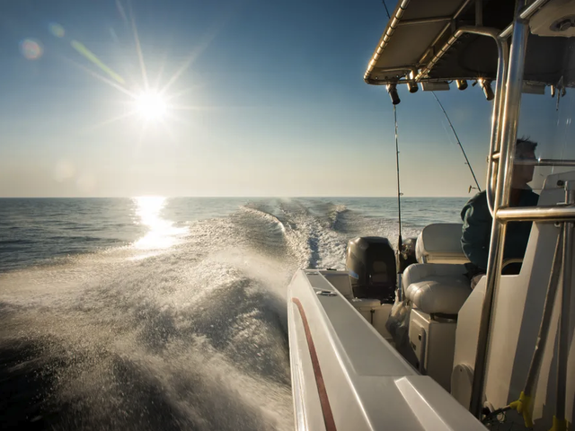 Listing image 1118635