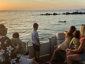 A family enjoys a magical moment watching dolphins swim alongside their boat at sunset, creating unforgettable memories on the water.