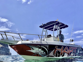 A vibrant fishing boat named 'HART' is seen cruising through clear waters, showcasing its striking design and the captain at the helm, perfect for fishing adventures.