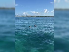 Two snorkelers enjoy the vibrant waters, showcasing the thrill of underwater exploration in a picturesque tropical setting.