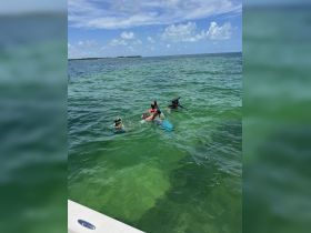 A lively group enjoys snorkeling in the clear waters, showcasing the fun and adventure of aquatic activities during a boat trip.
