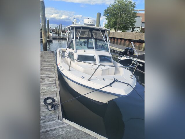 Listing image 1115367
