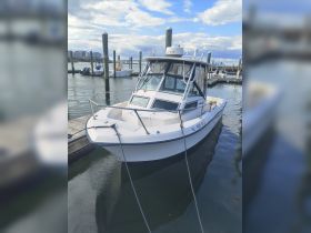 A well-maintained center console boat docked at the marina, showcasing its sleek design and readiness for a day on the water.