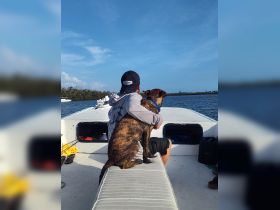 A person enjoys a peaceful moment on a boat with their dog, overlooking the water — a perfect scene for pet lovers and boating enthusiasts.