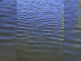 An unclear image of water with ripples, lacking identifiable subjects or details.