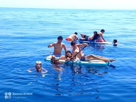 A lively group enjoys a day on the water, paddleboarding and swimming in the clear blue ocean — perfect for summer adventures and fun with friends.
