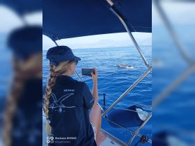 A young girl captures a moment on her phone as a dolphin swims alongside the sailboat, showcasing a magical wildlife encounter on the water.
