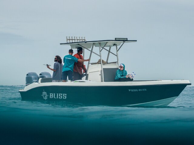 Listing image 1115517
