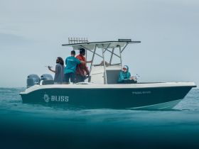 A group of friends enjoys a day on the water aboard a boat, showcasing camaraderie and adventure in a beautiful setting.