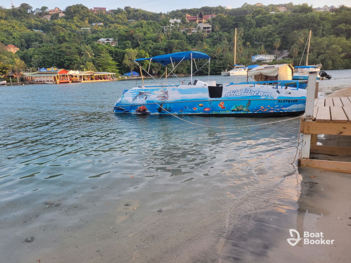 Discover St.Lucia Tours