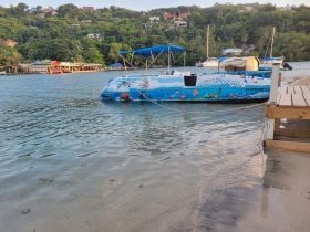 A vibrant boat named 'Wild Dream' docked in calm waters, surrounded by lush greenery and scenic views, perfect for exploring the coastline.