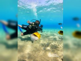 A diver interacts with vibrant fish while exploring underwater, showcasing the beauty of marine life during a snorkeling adventure.